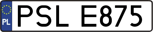 PSLE875