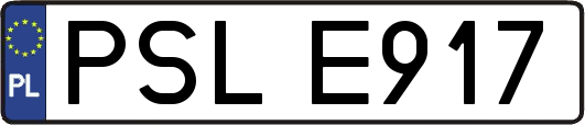 PSLE917
