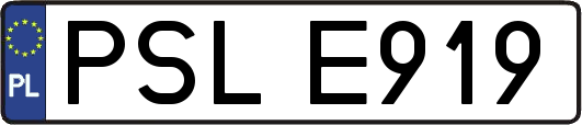 PSLE919