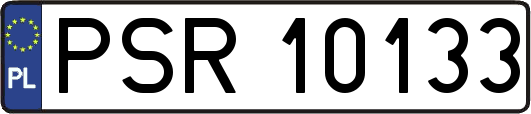 PSR10133