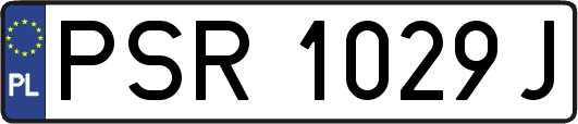 PSR1029J