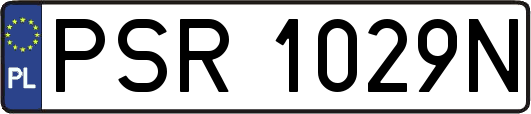 PSR1029N
