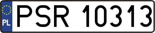PSR10313