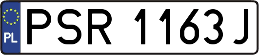 PSR1163J