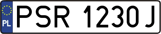 PSR1230J
