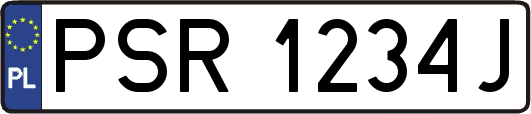 PSR1234J