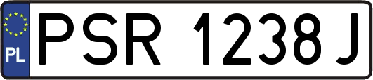 PSR1238J