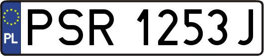PSR1253J