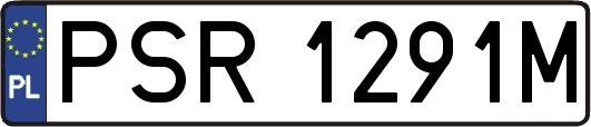 PSR1291M