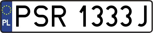 PSR1333J
