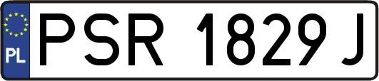 PSR1829J