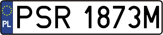 PSR1873M