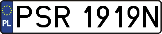 PSR1919N