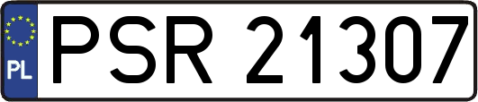 PSR21307