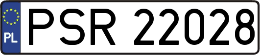 PSR22028