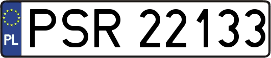 PSR22133