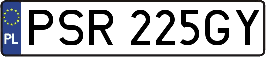 PSR225GY
