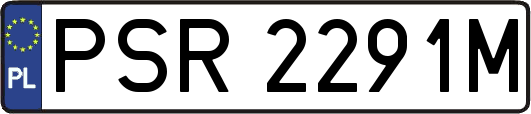 PSR2291M