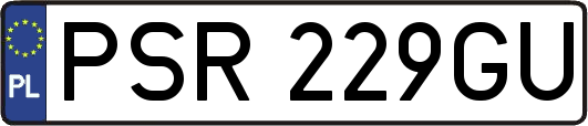 PSR229GU