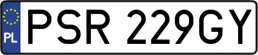 PSR229GY