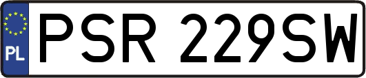 PSR229SW