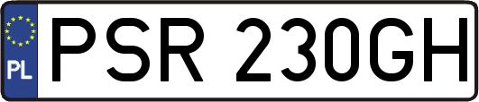 PSR230GH