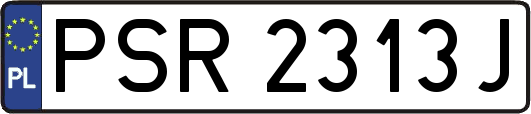 PSR2313J