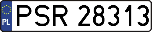 PSR28313