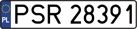 PSR28391