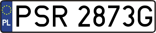 PSR2873G