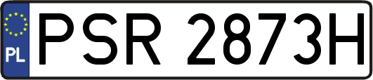 PSR2873H