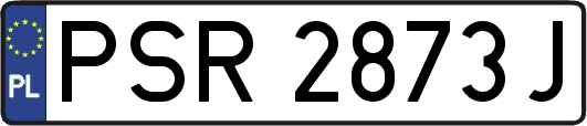PSR2873J