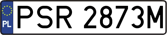 PSR2873M