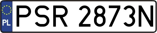 PSR2873N