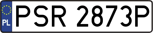 PSR2873P