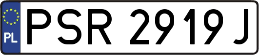 PSR2919J
