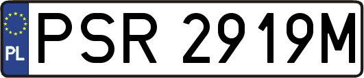 PSR2919M