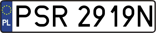 PSR2919N