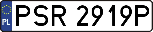 PSR2919P