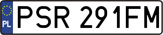 PSR291FM