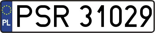 PSR31029