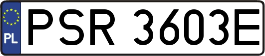 PSR3603E