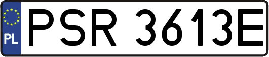 PSR3613E