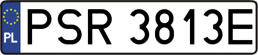 PSR3813E