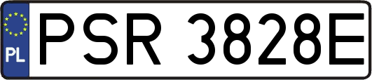 PSR3828E