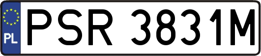 PSR3831M