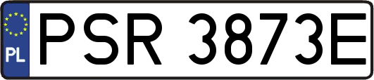 PSR3873E