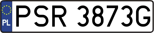 PSR3873G