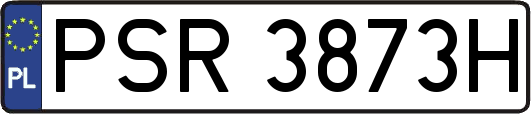 PSR3873H