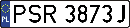 PSR3873J